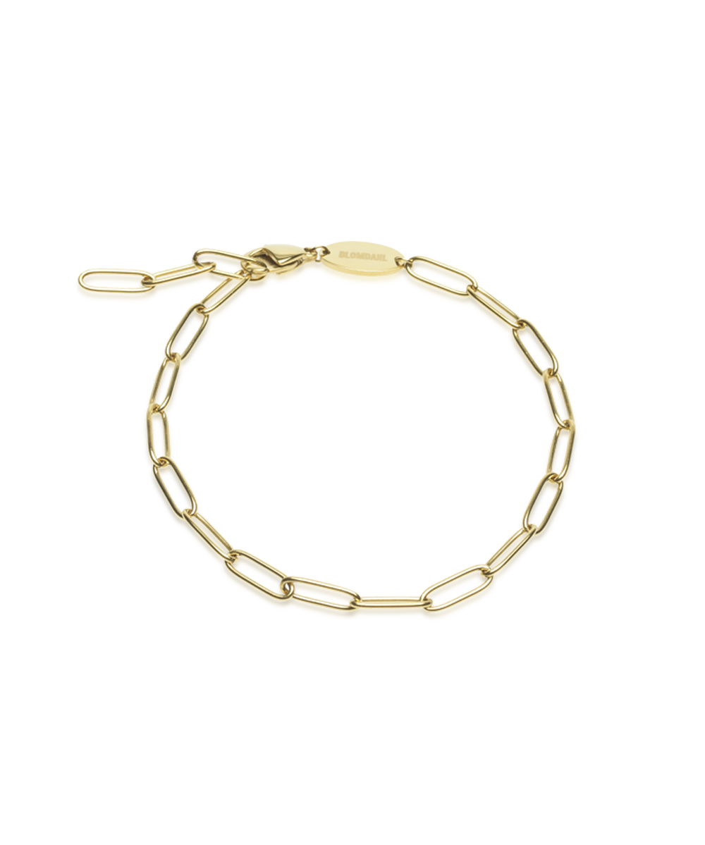 Golden Link Armband